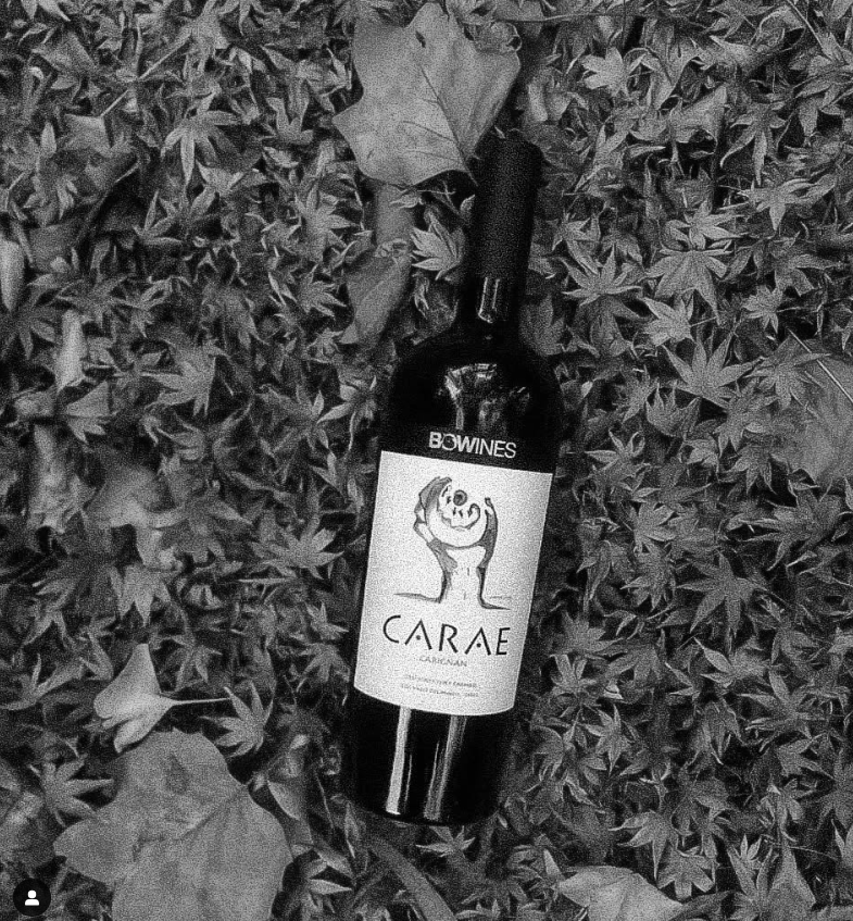 Vino bowines