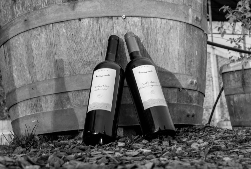 Vino butron