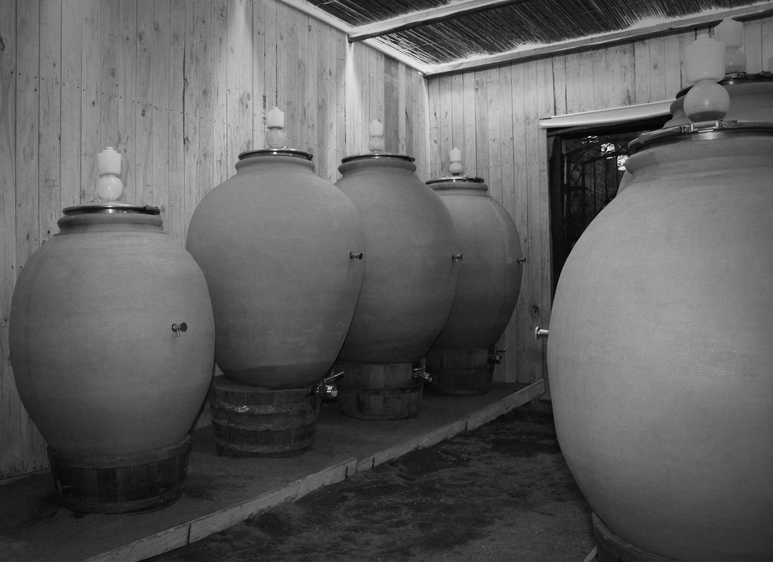 Viñedos butron