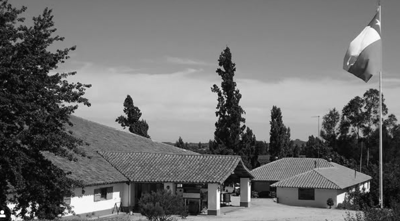 Viñedos erasmo