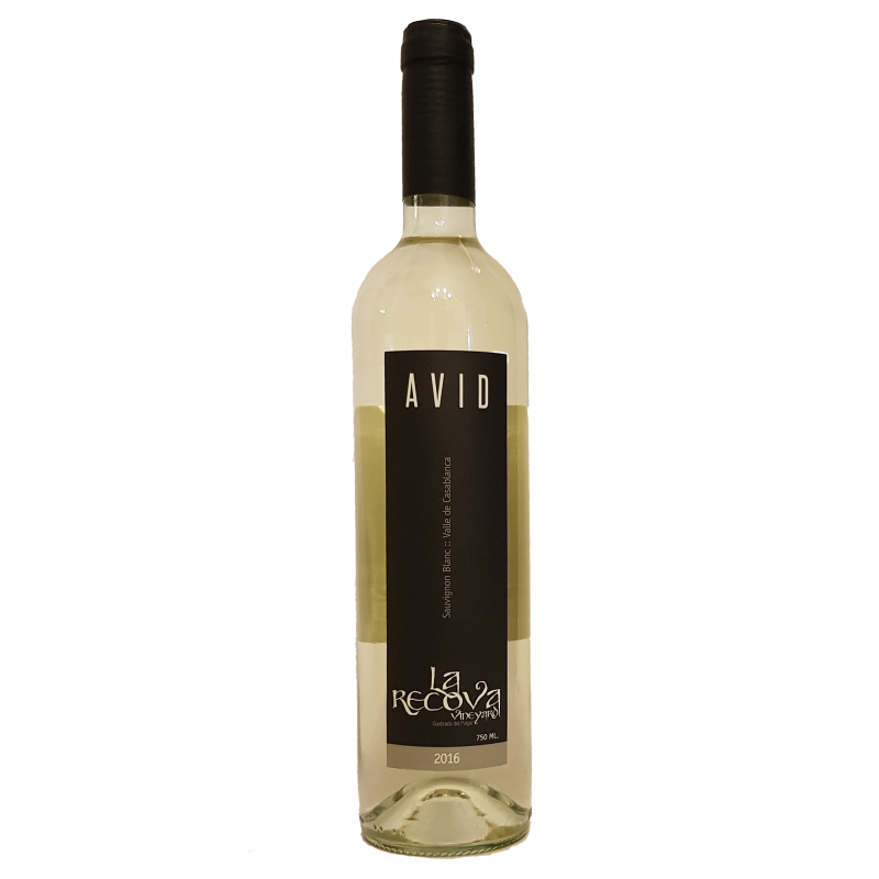 Avid Sauvignon Blanc