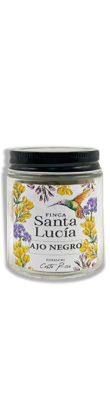 Ajo Negro (4 Cabezas)