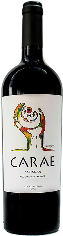 Bowines - Carae Carignan