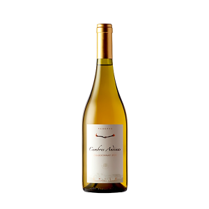 Butron Bunidich – Cumbre Andinas – Cumbres Chardonnay