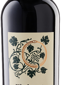 Flaherty - Aconcagua