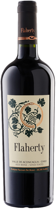 Flaherty - Aconcagua