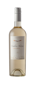 Butron Bunidich – Cumbre Andinas – Pinot Grigio