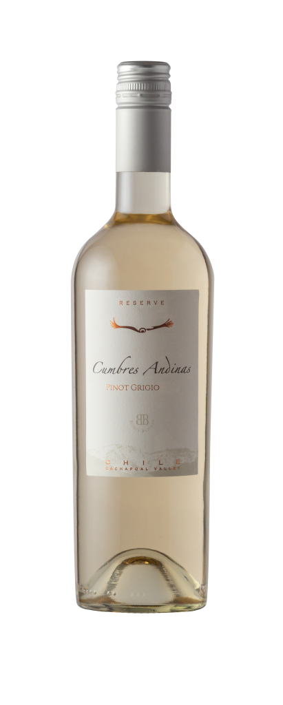 Butron Bunidich - Cumbre Andinas – Pinot Grigio