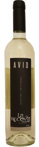Avid Sauvignon Blanc