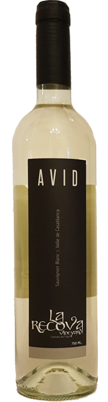 Avid Sauvignon Blanc