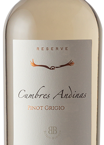 Butron Bunidich - Cumbres Andinas – Pinot Grigio