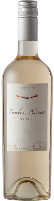 Butron Bunidich - Cumbres Andinas – Pinot Grigio